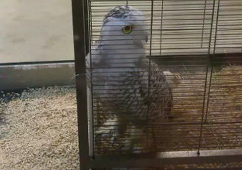 Descoperire incredibilă într-un pet shop din Capitală! 