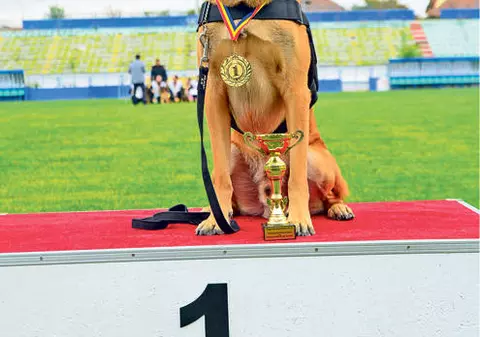 Toby, amicul lui Băsescu, este campion! GALERIE FOTO