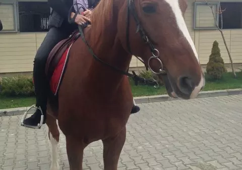 CE-I MAI PLACE SĂ CĂLĂREASCĂ UNEI BRUNETE FOCOASE DE LA NOI! | FOTO 