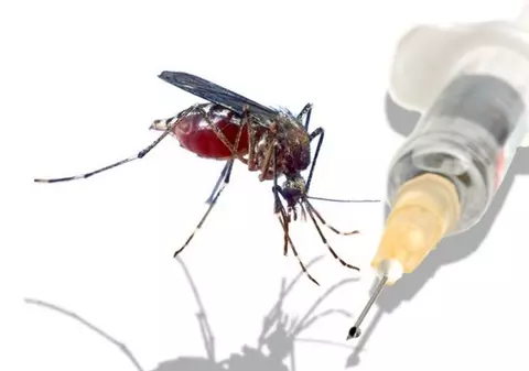 Insectele ne pot vindeca de cancer. Află cum!