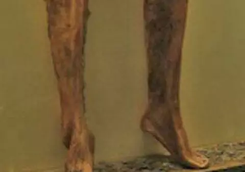 CEL MAI ODIOS ARTICOL VESTIMENTAR! Este făcut din pielea JUPUITĂ DE PE UN CADAVRU şi te ajuta să devii BOGAT!