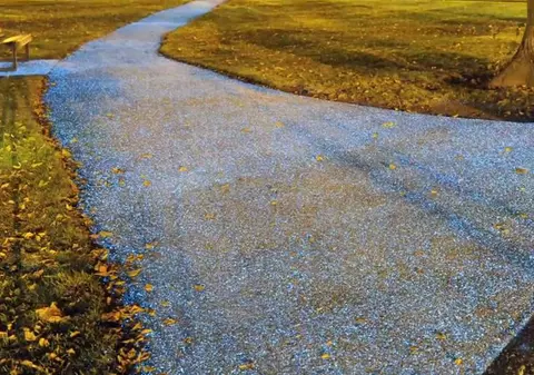 Parcurile viitorului vor avea alei iluminate fără electricitate. Vezi cum este posibil! VIDEO