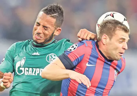 Steaua - Schalke | Învingeţi sau muriţi de ruşine