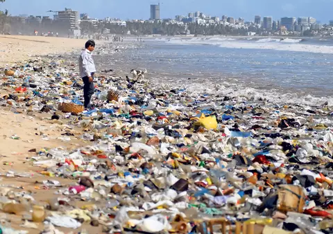 Vom scăpa de pungile din plastic? Comisia Europeană vrea să interzică folosirea acestor ambalaje în toate statele UE