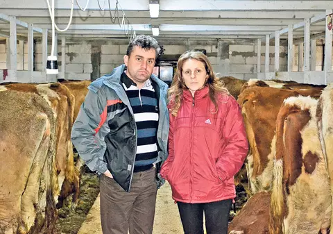 Au investit 40.000 € și muncesc la coada vacii