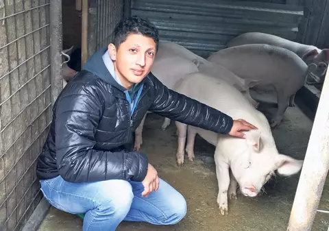 Vrei porc de Crăciun? Rezervă-l mai ieftin acum!
