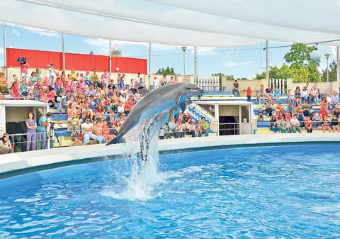 Se extinde Delfinariul!