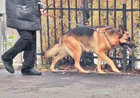 Irina Loghin tânjeşte după alergare | FOTO EXCLUSIV