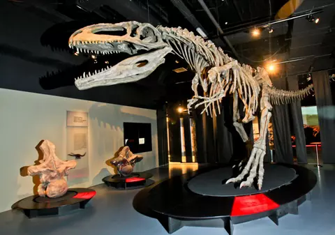 Dinozauri giganţi într-un mall din Capitală