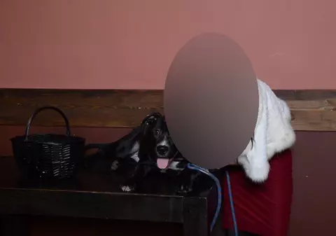 O jurnalistă CELEBRĂ SCHIMBĂ postul de televiziune