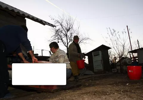 Asta e imaginea cu un PORC TĂIAT DIN ROMÂNIA care a AJUNS ÎNTR-O CELEBRĂ ARHIVĂ FOTO. Vezi cum arată şi vei înţelege totul!