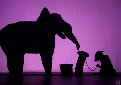 Shadowland, FABULOSUL DANS AL UMBRELOR, în premieră în România