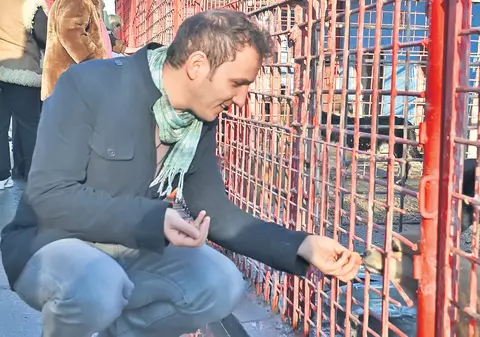 Trăistariu, Moş Crăciun pentru căţei | FOTO