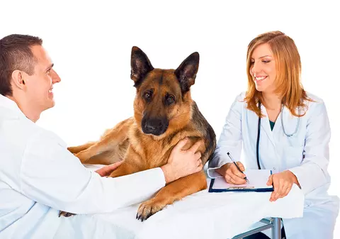 Un câine de companie plasat în carantină în Hong Kong cu suspiciune de coronavirus a fost testat negativ