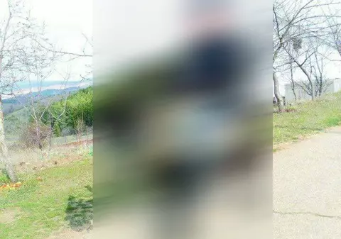 Andreea Marin ŞTIE CE ÎNSEAMNĂ O POZĂ VIRALĂ. Ce face tipul pe măgar A FĂCUT FANII S-O IA RAZNA CU MII DE LIKE-URI