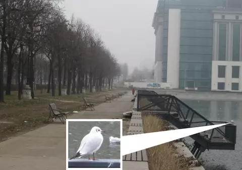 PESCĂRUŞII, primii BENEFICIARI ai unui proiect al PMB