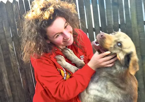 O tânără din Argeş plăteşte pentru un maidanez 77 de lei lunar ca să nu fie ucis