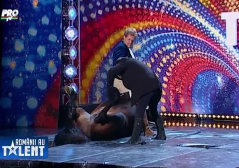 PREMIERĂ LA Românii au talent! DAR CU CALUL CE-AŢI AVUT? 