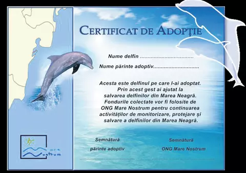 Vrei să adopţi un delfin?