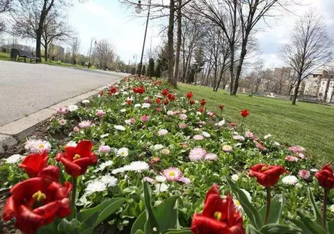 Primăvară în toată regula. Prognoza meteo în următoarele zile