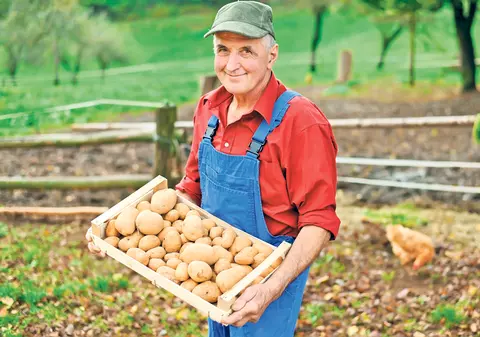 Agricultorii şi zilierii vor primi ajutor de şomaj! Şi cei care au venituri din chirii pot beneficia de această indemnizaţie