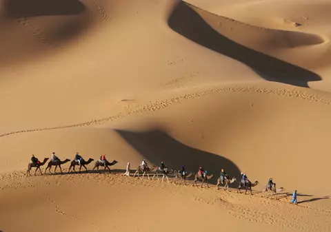 Arabii vor apă din Dobrogea!