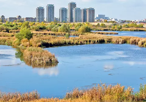 Delta din inima Bucureştiului prinde rădăcini