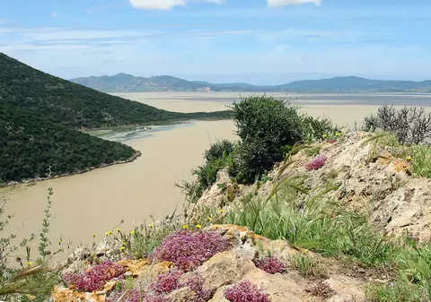 Petrece o zi "wild"  in parcurile nationale ale Tunisiei!