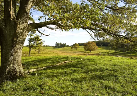 VREMEA DE FLORII şi DE PAŞTI. Prognoza METEO pentru fiecare REGIUNE ÎN PARTE