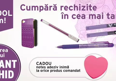De ce este mai bine să comanzi rechizite online