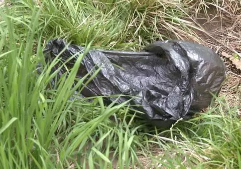 Mama bebeluşului sfâşiat de câini la Târgu Cărbuneşti, condamnată la 12 ani de închisoare