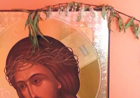 Întâmplare incredibilă în Capitală! SALCIA a înflorit lângă ICOANĂ!