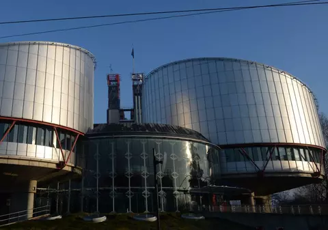 Merg până la Strasbourg ca să îşi apere copacii