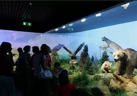 NOAPTEA MUZEELOR 2014| Uite ce poţi VIZITA şi care va fi PROGRAMUL RATB