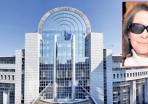 De la mătură, în Parlamentul European