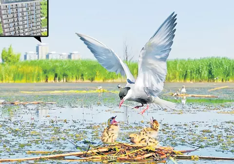 Trage cu ochiul în Deltă! Foto