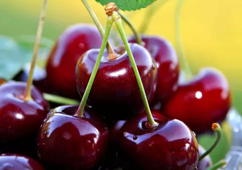 Un COPIL de 9 ani, în STARE CRITICĂ la SPITAL, după ce a încercat să culeagă CIREŞE din CIMITIR