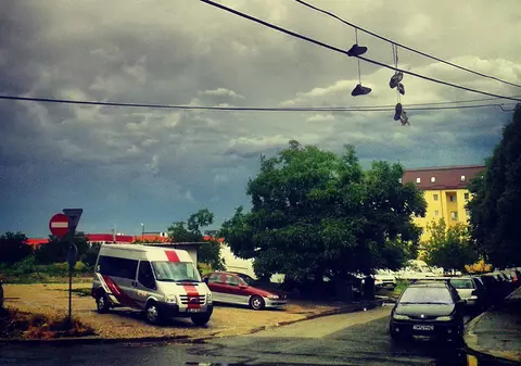 COD PORTOCALIU de GRINDINĂ în 2 judeţe