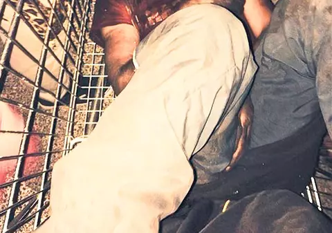 CAZUL minorului ROM BĂTUT CRUNT în Franţa, SUBIECT în presa internaţională