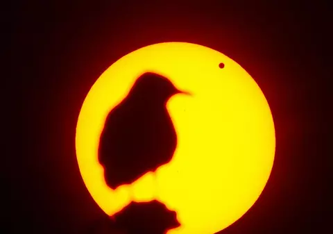 SOLSTIŢIUL de VARĂ | TRADIŢII şi SUPERSTIŢII legate de CEA MAI LUNGĂ ZI din AN