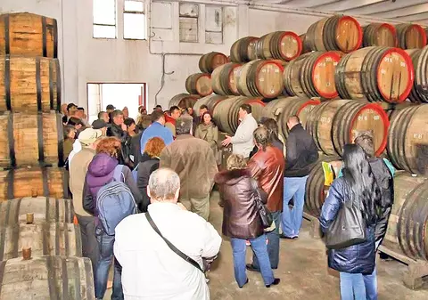 Murfatlar, imperiul de jumătate de miliard de lei aflat sub sechestru