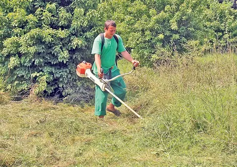 Cu maşina de tuns bălării, după şobolani