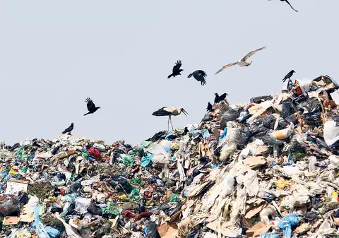 Mafia italiană spală bani în gunoaiele din Românial