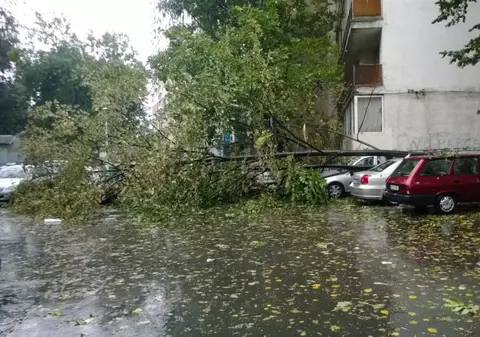 FURTUNA a făcut PRĂPĂD în Bucureşti! Copaci rupti, pe bulevarde