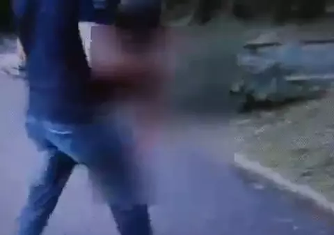 Un copil a fost MUŞCAT de TIGRU chiar sub OCHII TATĂLUI! TOTUL A FOST FILMAT! VIDEO