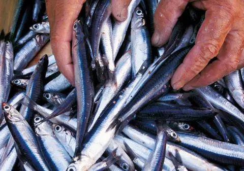 Femeia care miroase ca un peşte stricat! O cântăreaţă suferă de o boală extrem de rară 