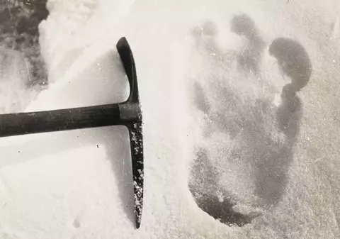 Cercetătorii britanici au descoperit dovada că Yeti există! Se pregătesc să plece în căutarea lui