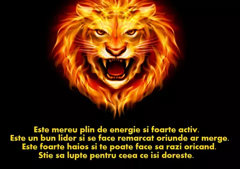10 lucruri care ne plac la nativii zodiei Leu