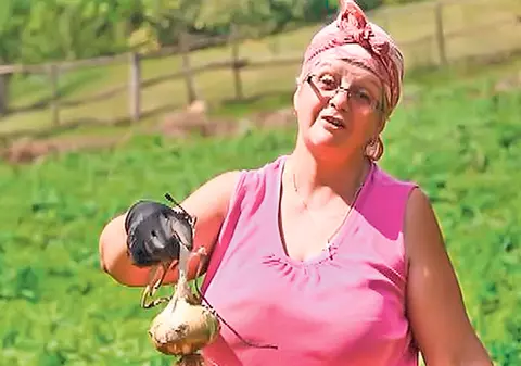 S-au apucat de cultivat ceapă uriaşă