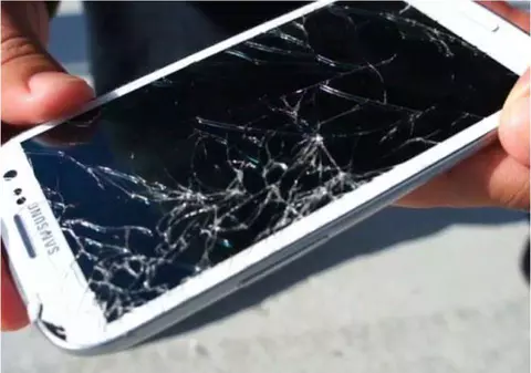 Şi-a spart smartphone-ul din cauza portarului Mircea Bornescu